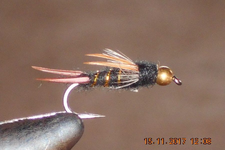 Bead head dark lord fly