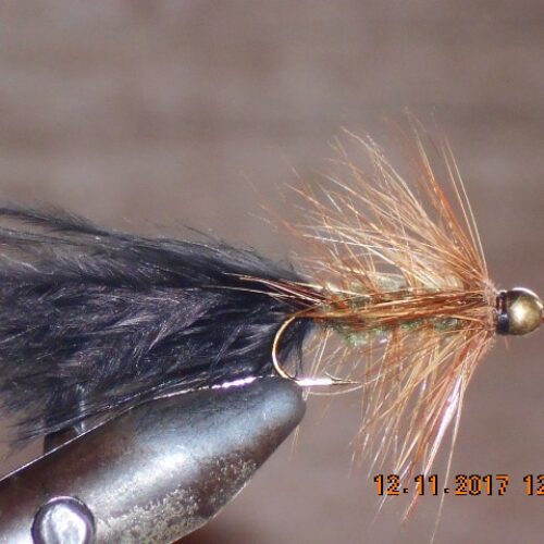 Bead head wolley bugger black olive