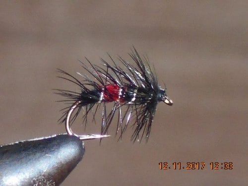 Bibio Wet Fly