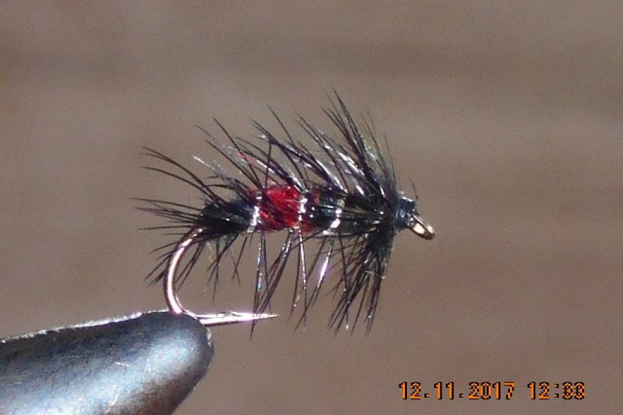 Bibio wet fly