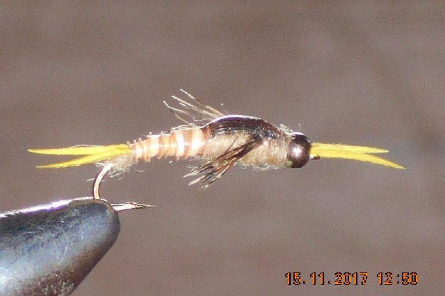 Golden Biot Epoxy Stone Nymph