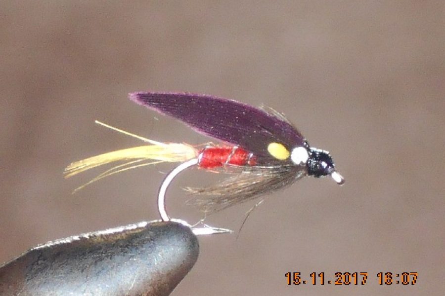 Watsons fancy wet fly