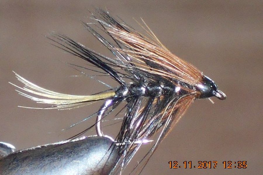 Kate mclaren wet fly