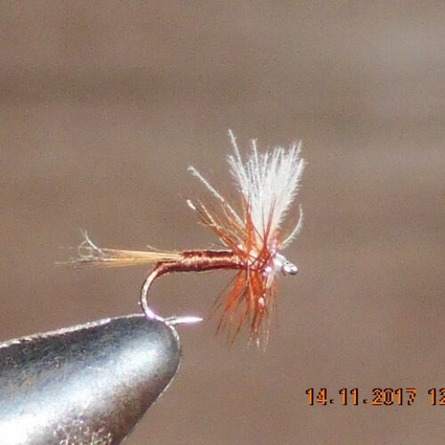 Cdc dry fly