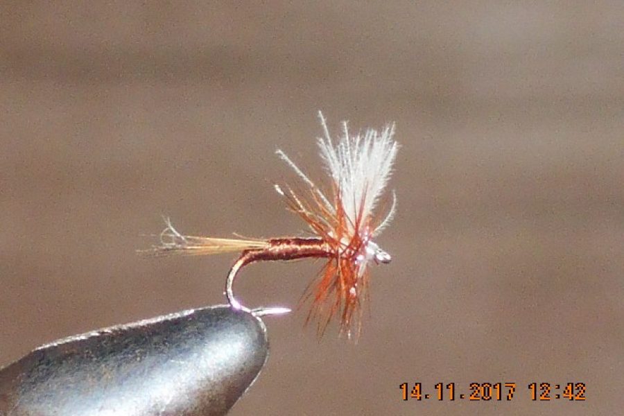 Cdc dry fly