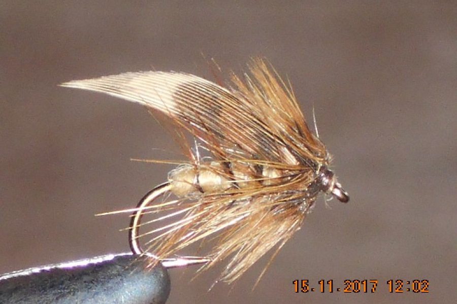 Concoction wet fly