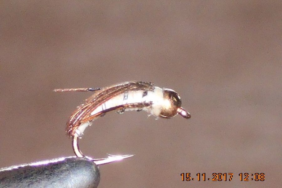 Corixa nymph fly