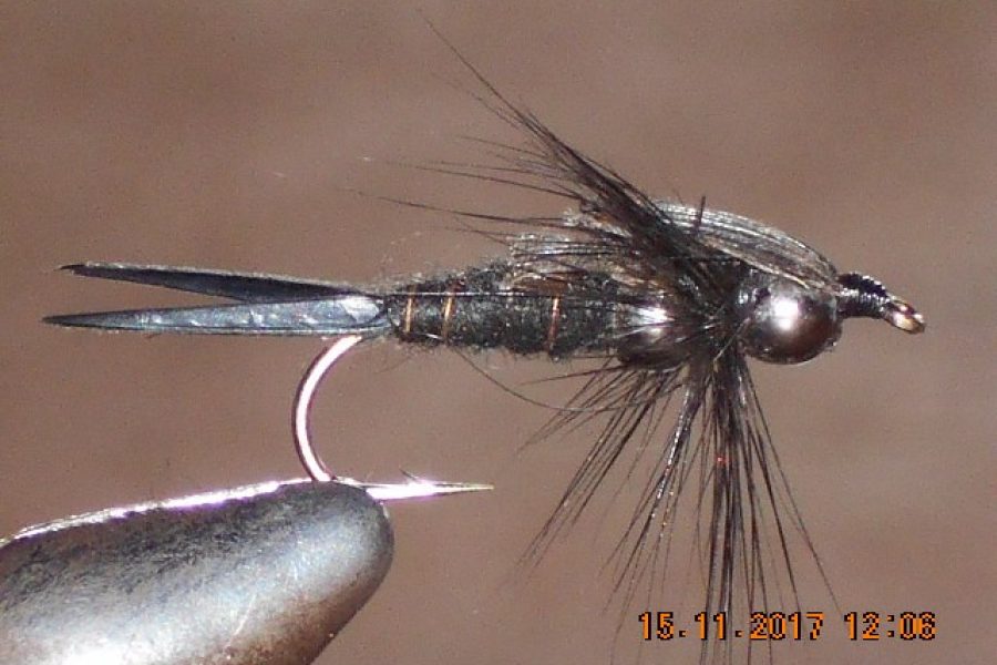 Double bead black stonefly nymph