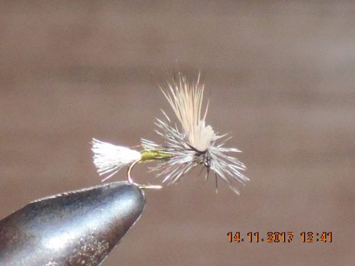 Green Ec caddis parachute fly