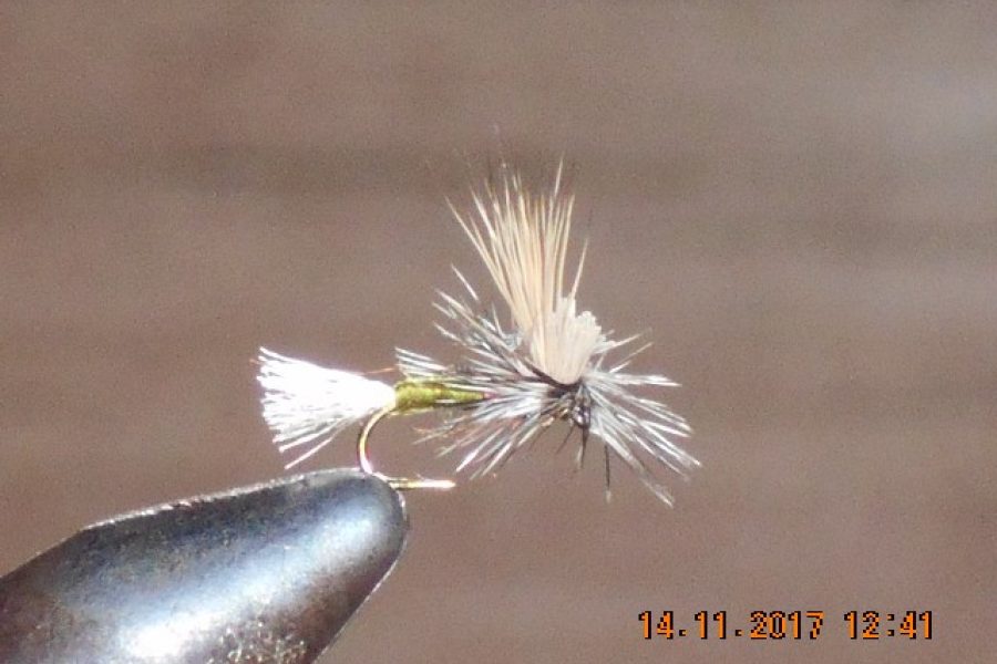 Green Ec caddis parachute fly