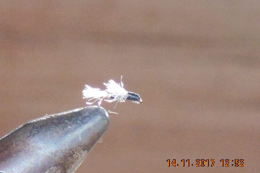 Black Emerging Midge