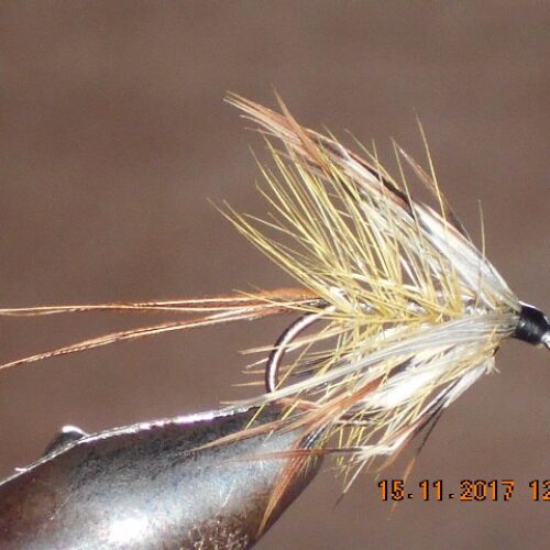 French partridge wet fly