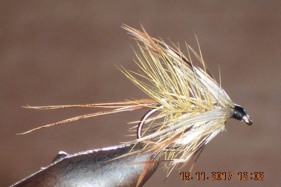 French partridge wet fly