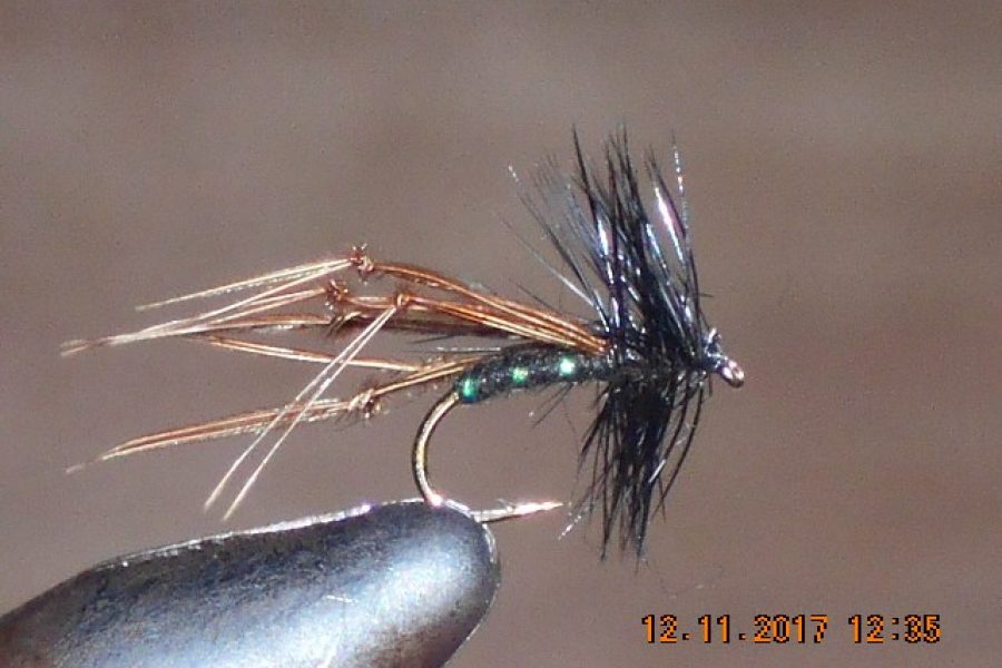 Black Hopper dry fly