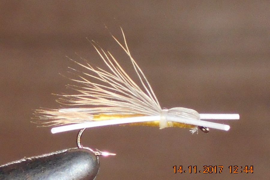 Madam x dry fly