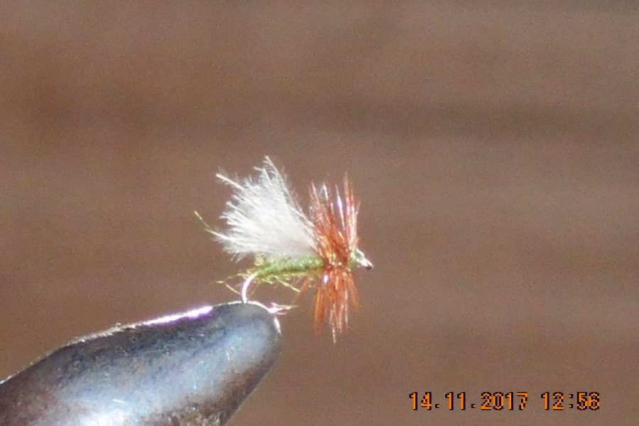 Midge fly 4