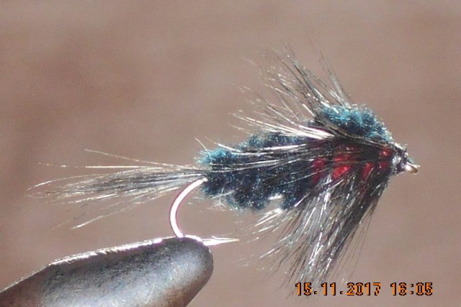 Montana nymph red