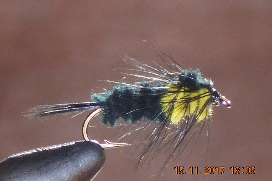 Montana nymph yellow