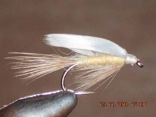 Pale morning dun wet fly