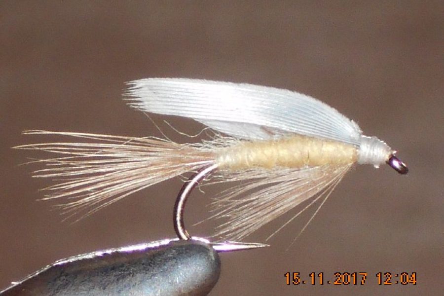 Pale morning dun wet fly