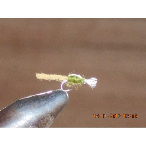 Palomino midge olive fly