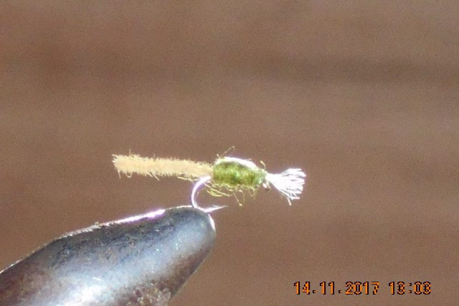 Palomino midge olive fly