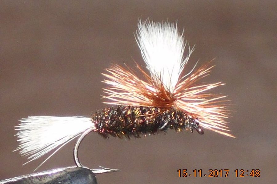 Parachute Coachman dry fly