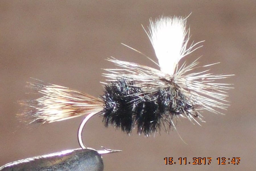 Black Parachute Emerger Caddis fly