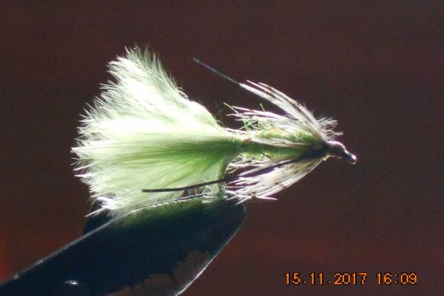 Partridge & green fly