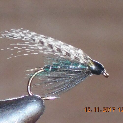 Teal & blue wet fly