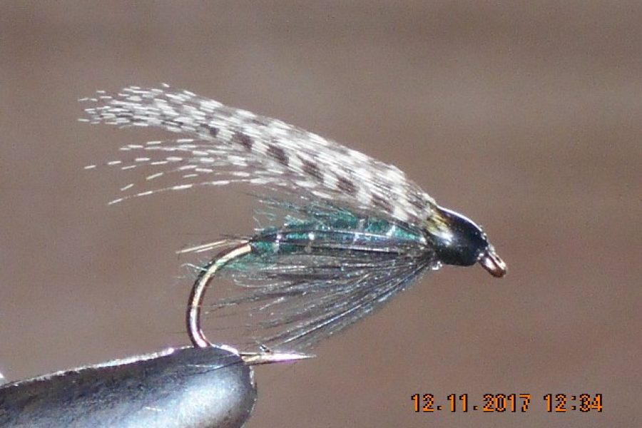 Teal & blue wet fly