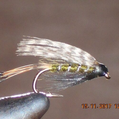 Teal & green wet fly