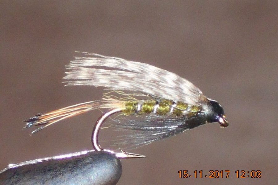 Teal & green wet fly