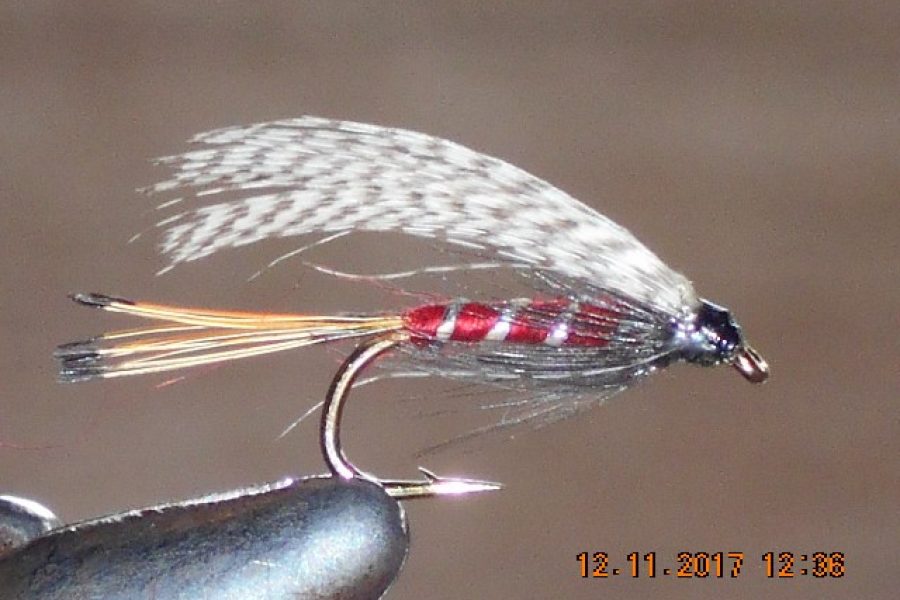 Teal & red wet fly