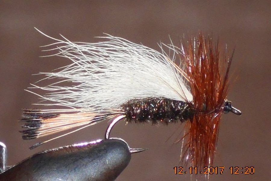 Trude peacock dry fly