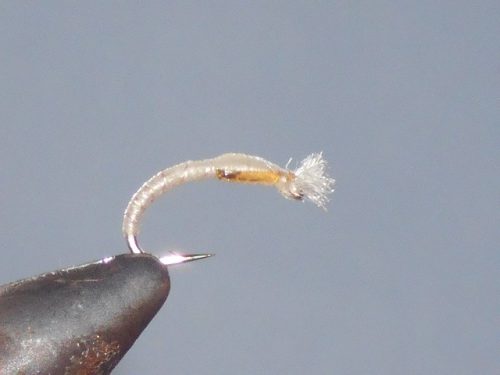 3-d glass white fishing fly