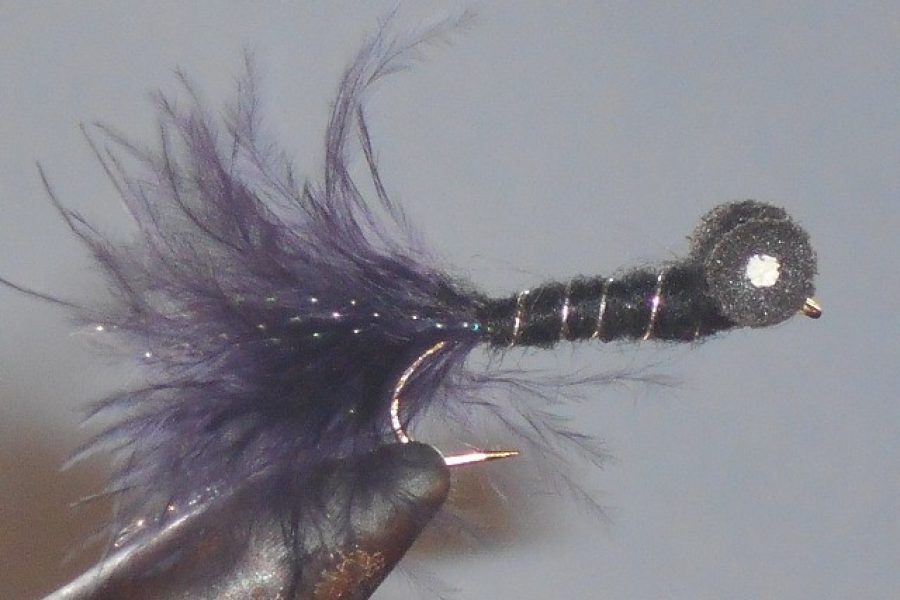 Booby Fly Black fly