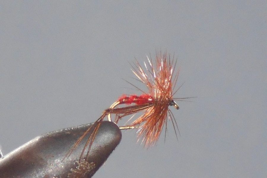 red Hopper fly