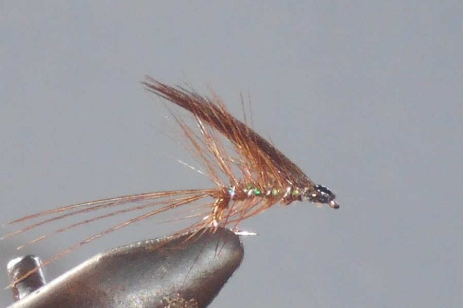 Pearl dubbler wet fly