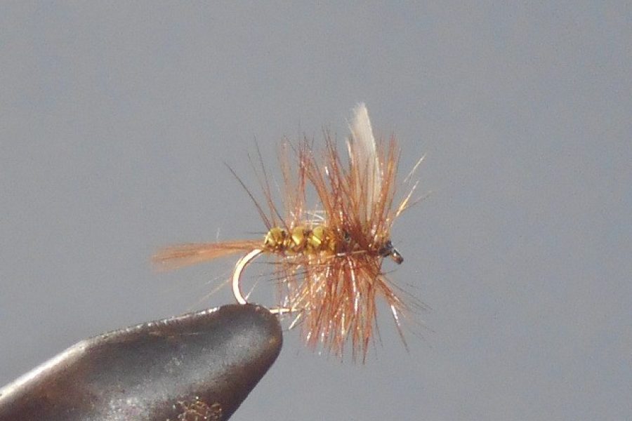 Wickham’s fancy dry fly