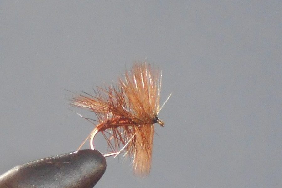 Fluttering sedge dry fly