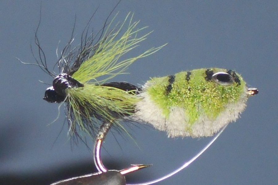 Messinger frog white belly fly