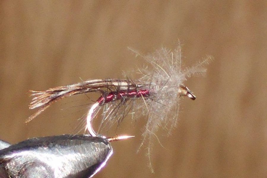 cdc classic sedge fly