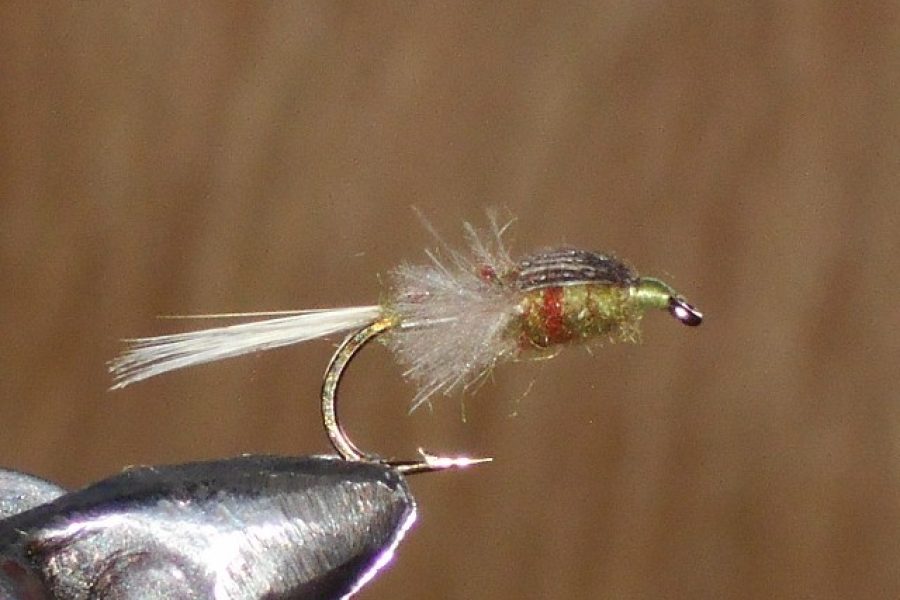 CDC Dark Olive Fly