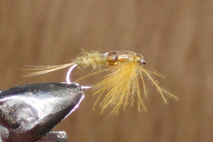 cdc glassbead olive fly