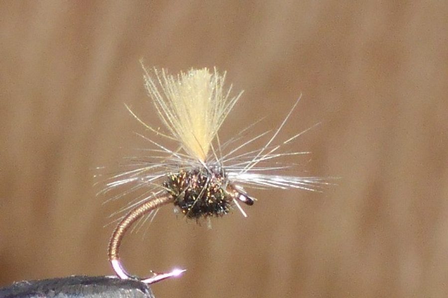 CDC Klinkhammer fly