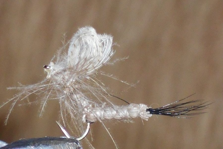 Cdc mayfly extended body fly