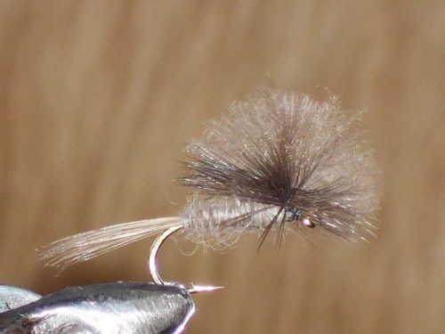 CDC Slovenia fly pattern