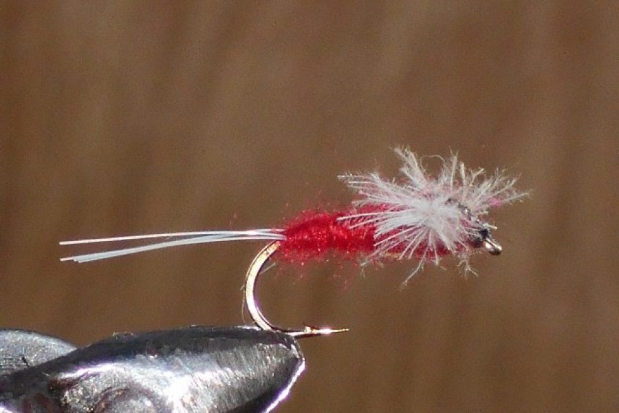 Cdc spinner red