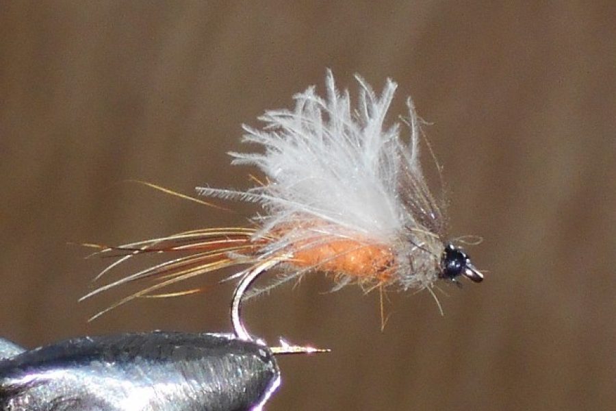 Cdc white gray fly